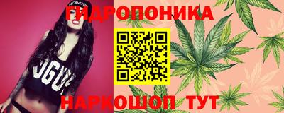 каннабис Будённовск