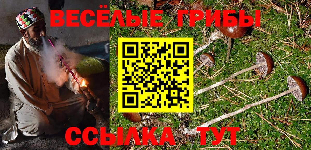 Галлюциногенные грибы Psilocybine cubensis  Вход с VPN  Канск 